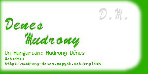 denes mudrony business card